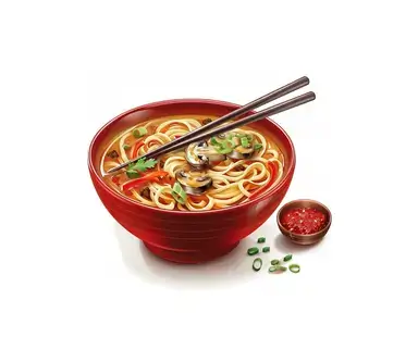 Udon-Nudelnsuppe